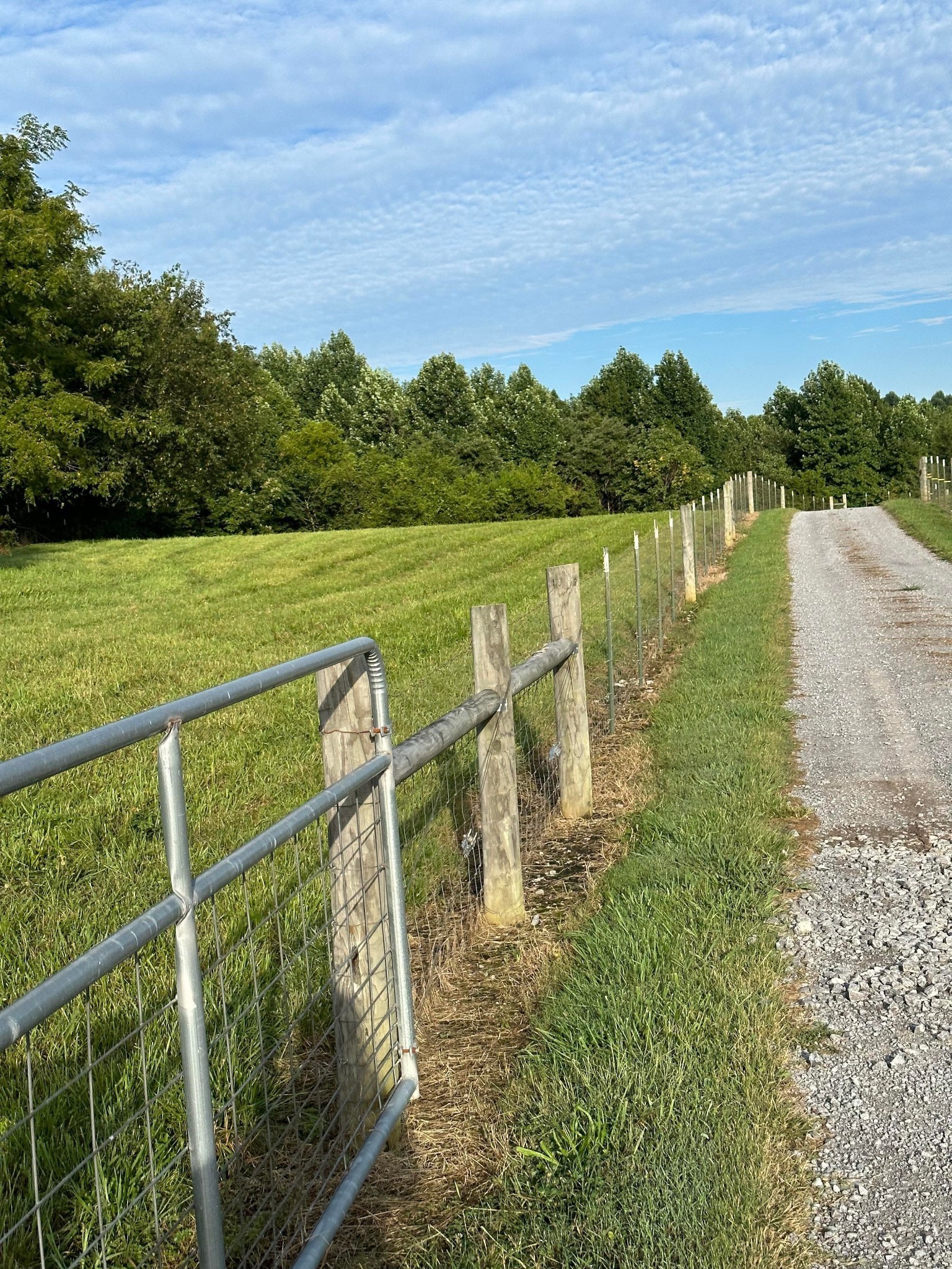 0 Knob Creek Road Wartrace TN 37183