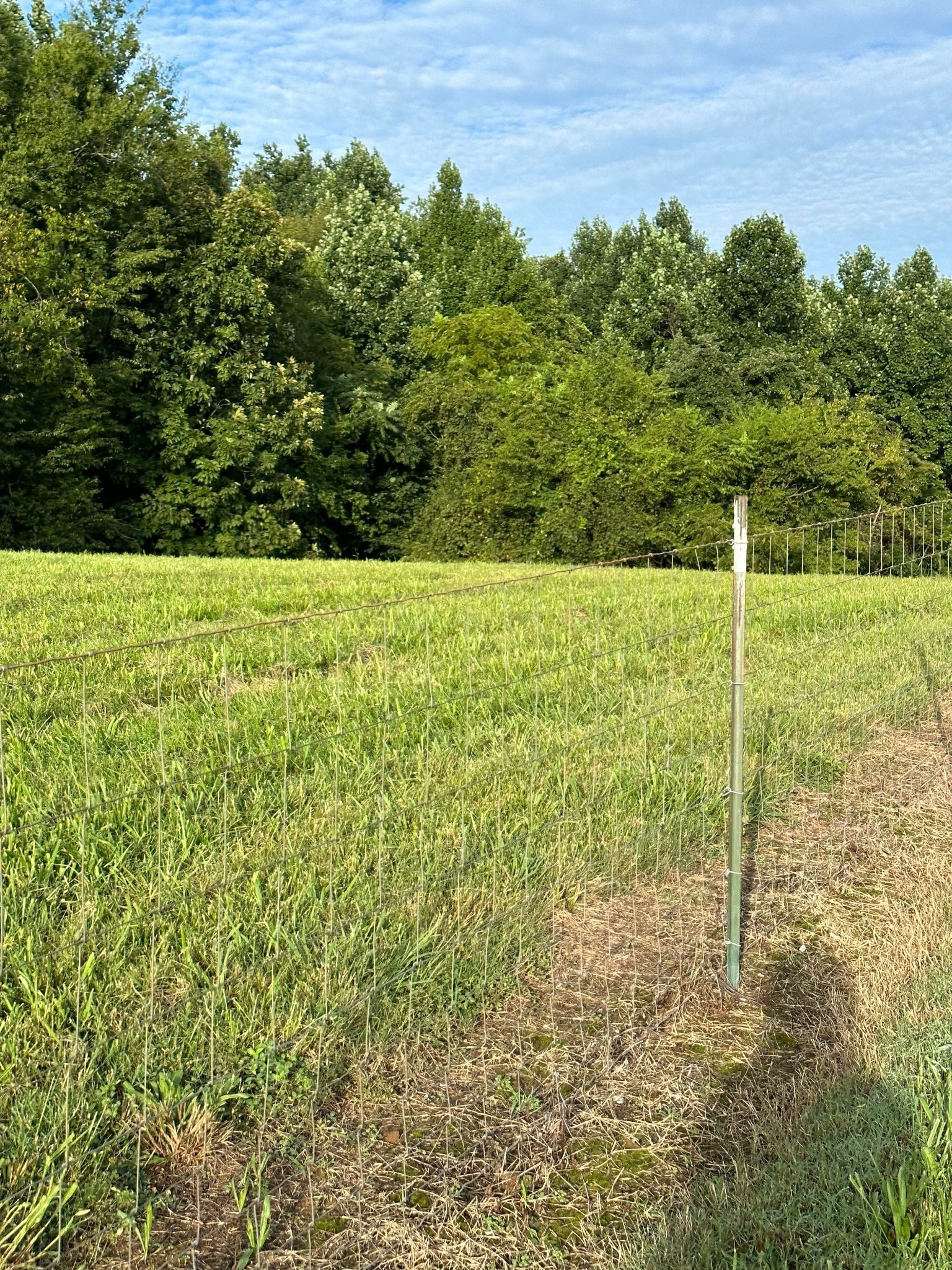 0 Knob Creek Road Wartrace TN 37183