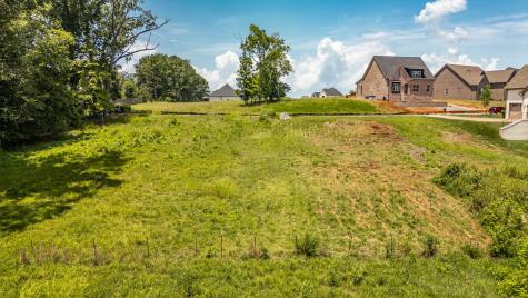 338 Raintree Drive Hendersonville TN 37075