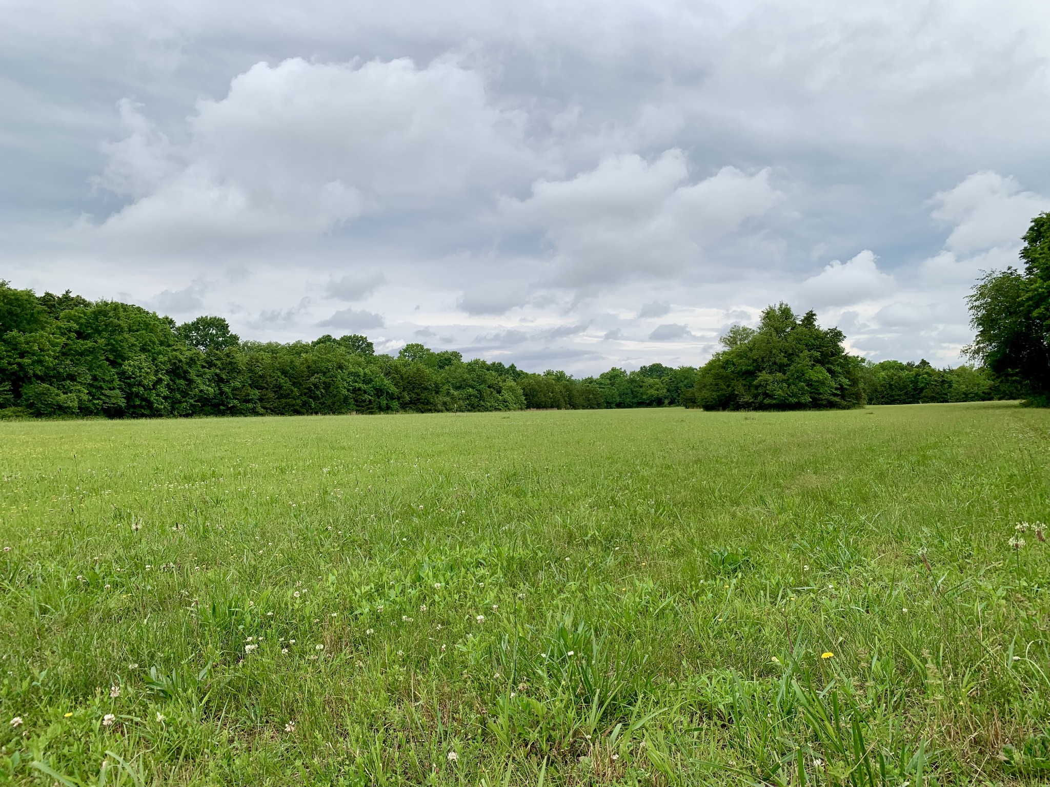 1 Rucker Road Christiana TN 37037