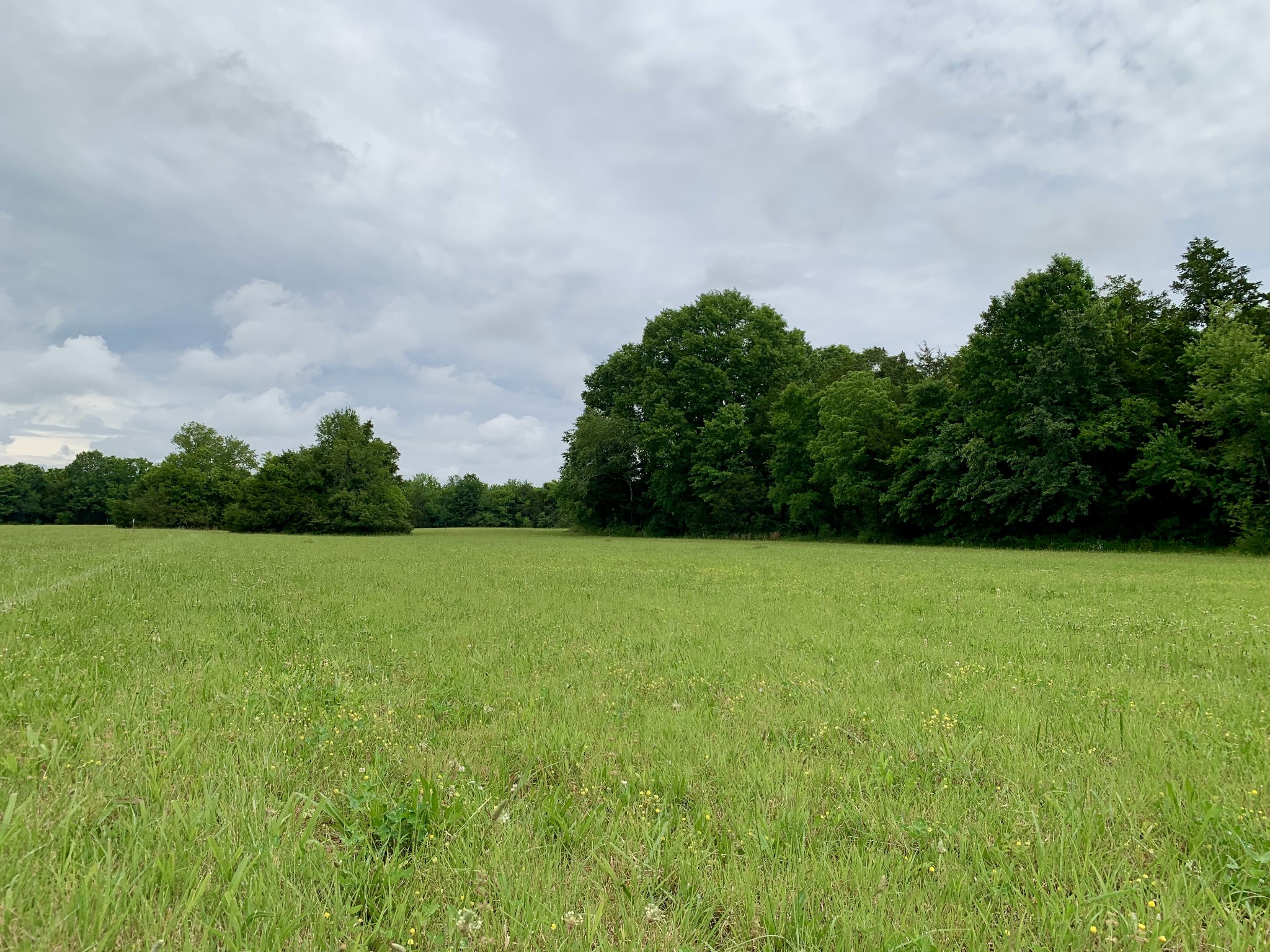 1 Rucker Road Christiana TN 37037