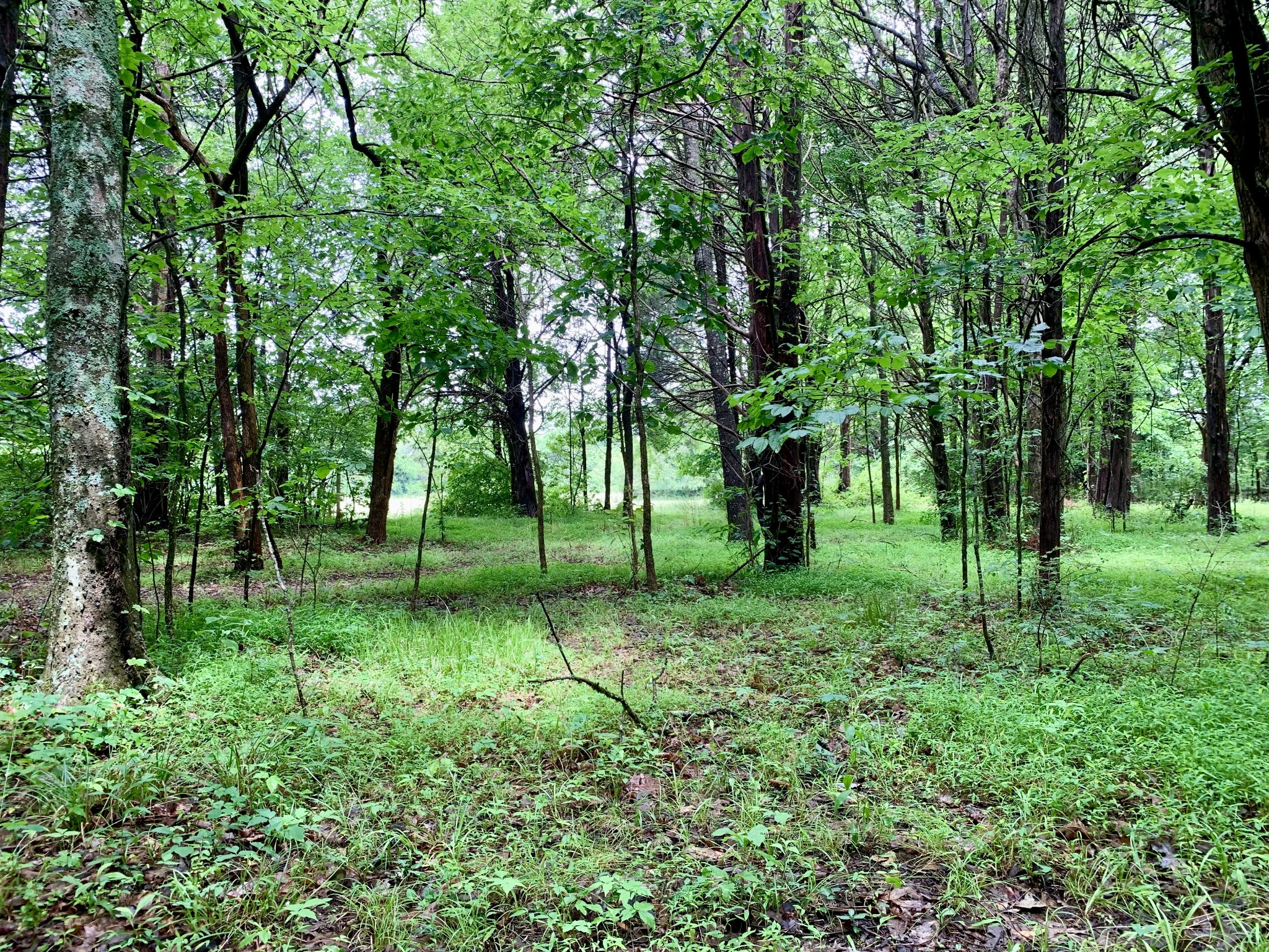 1 Rucker Road Christiana TN 37037