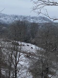 4419 Scott Hollow Road Culleoka TN 38451