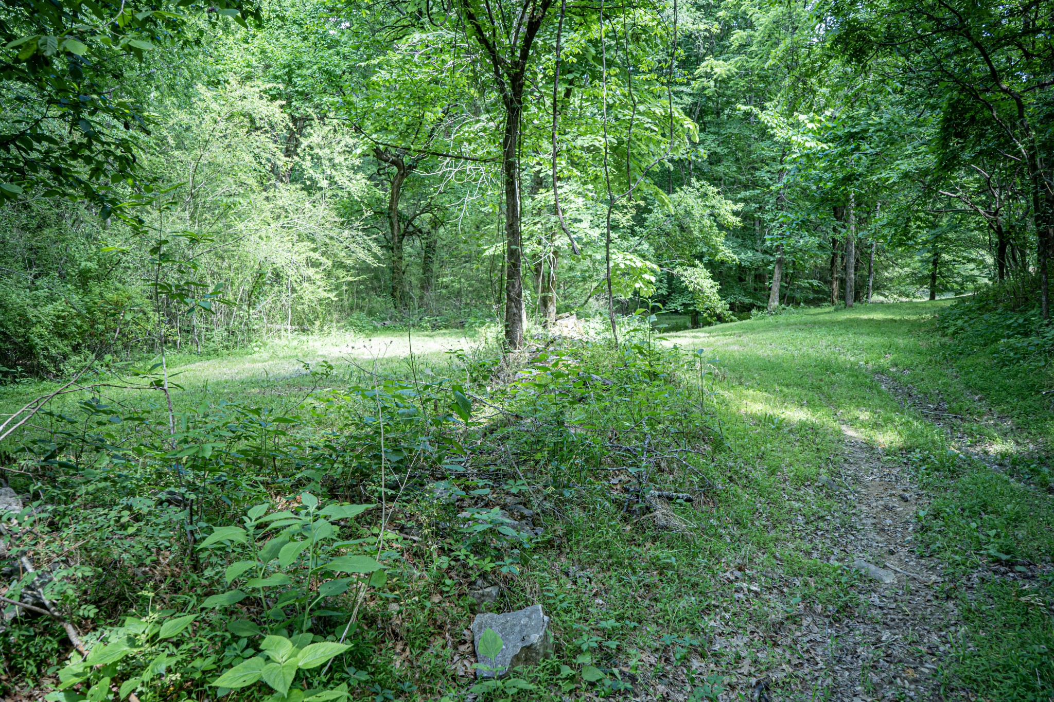 0 Pulaksi Highway Fayetteville TN 37334