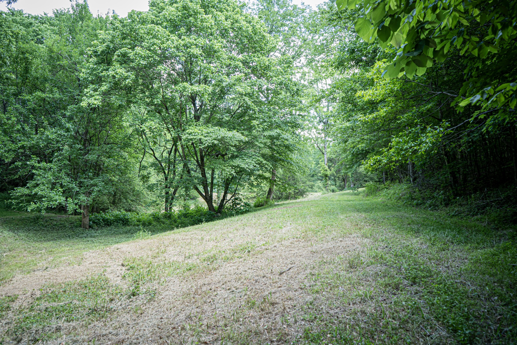 0 Pulaksi Highway Fayetteville TN 37334