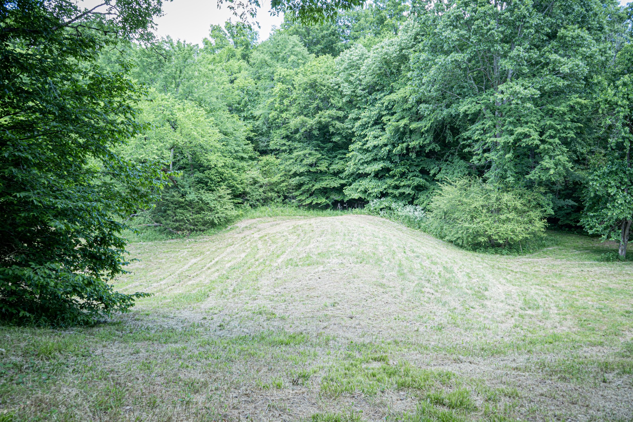 0 Pulaksi Highway Fayetteville TN 37334