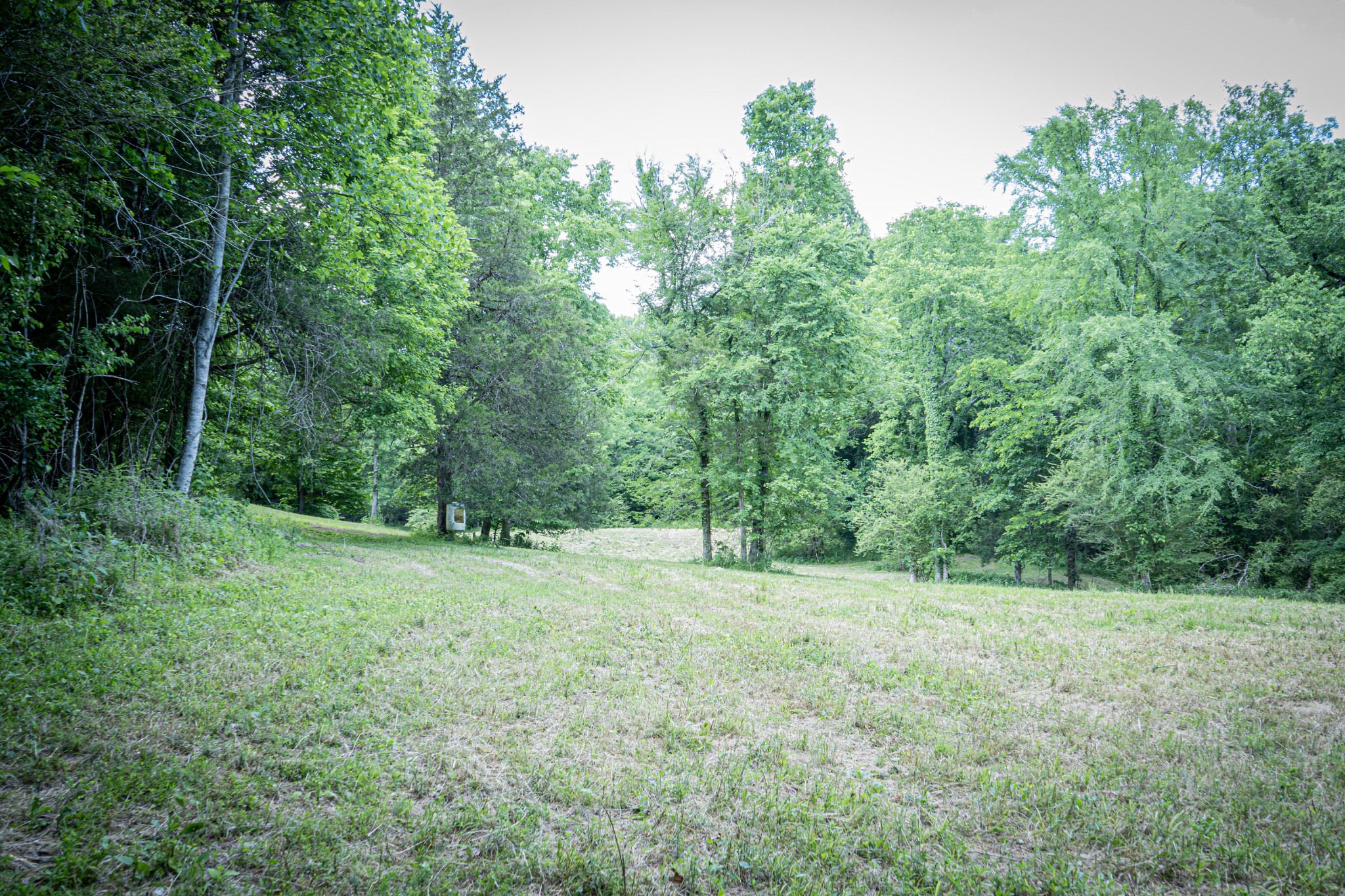 0 Pulaksi Highway Fayetteville TN 37334