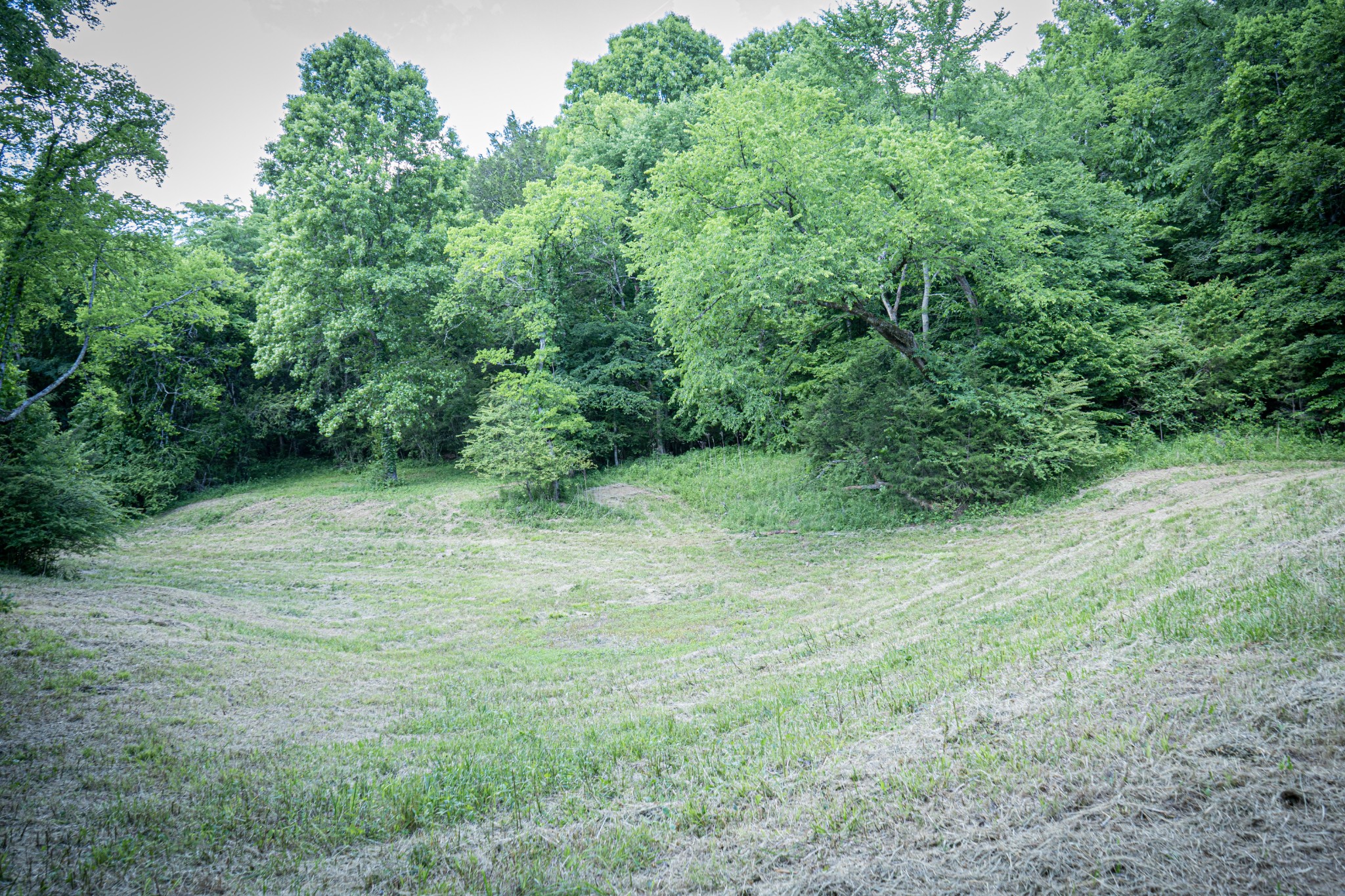 0 Pulaksi Highway Fayetteville TN 37334