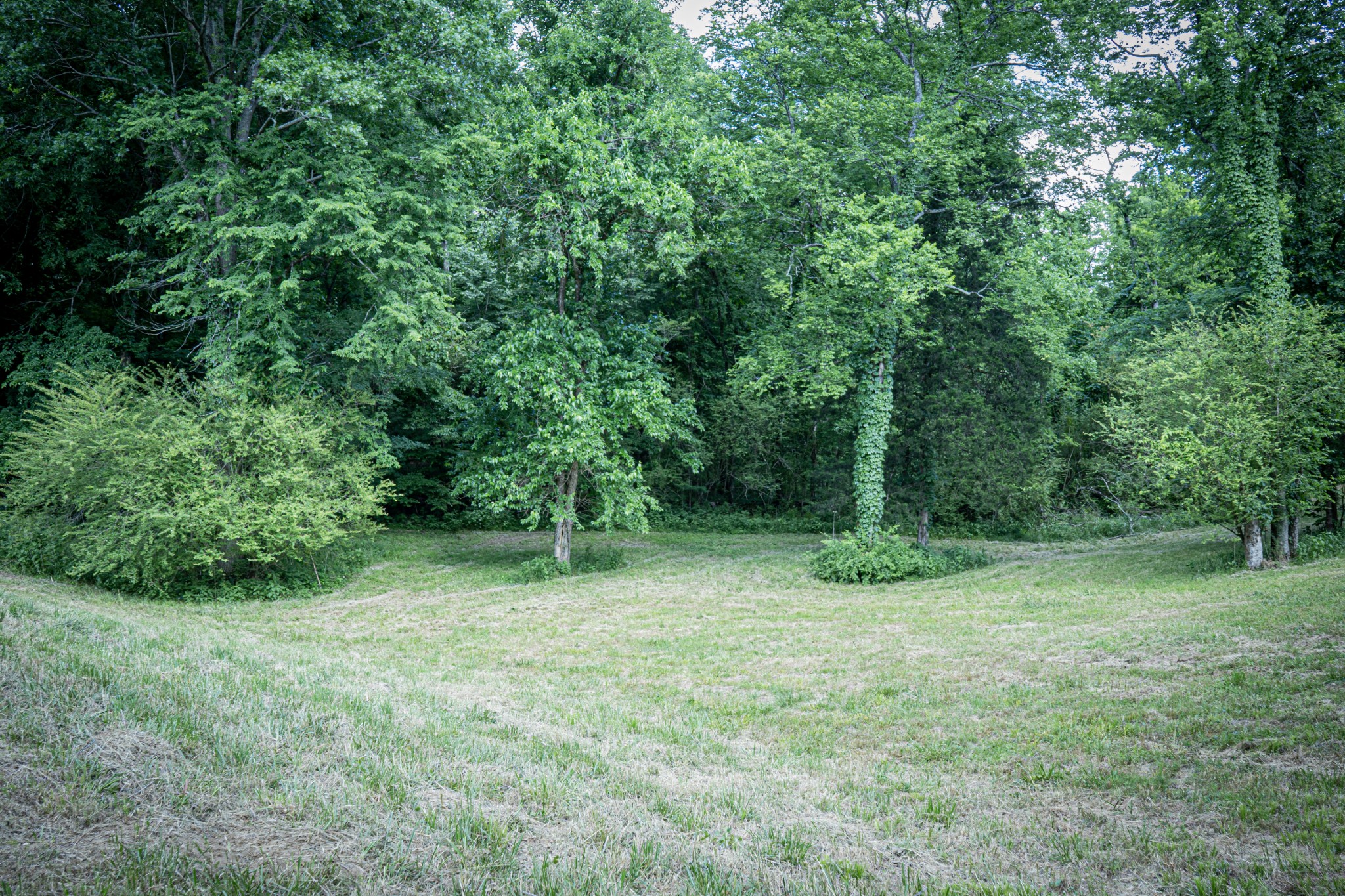 0 Pulaksi Highway Fayetteville TN 37334