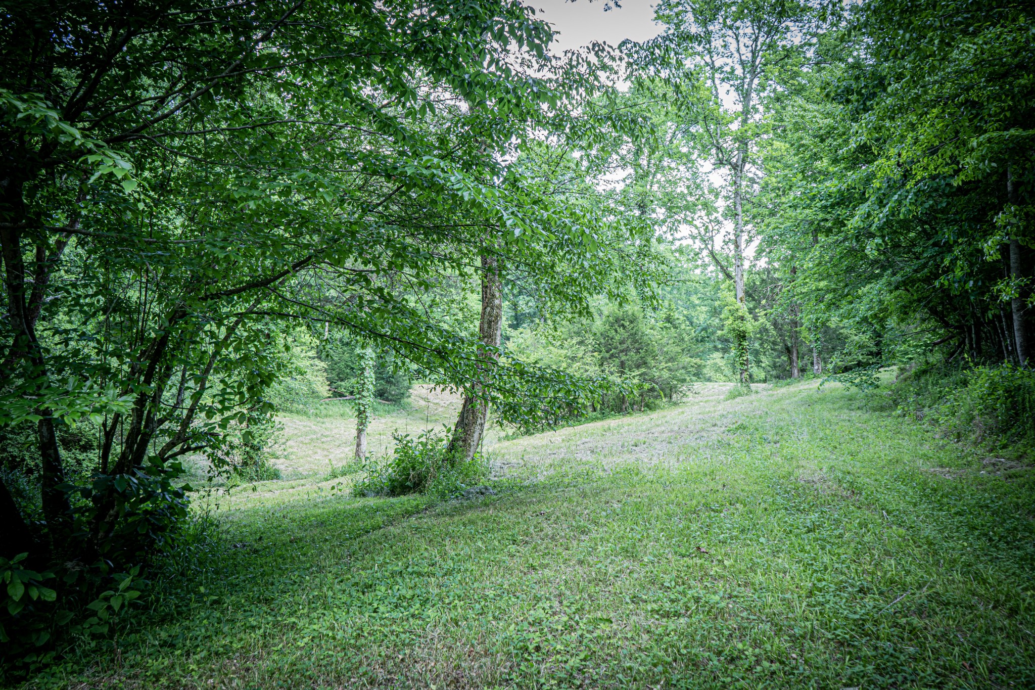 0 Pulaksi Highway Fayetteville TN 37334