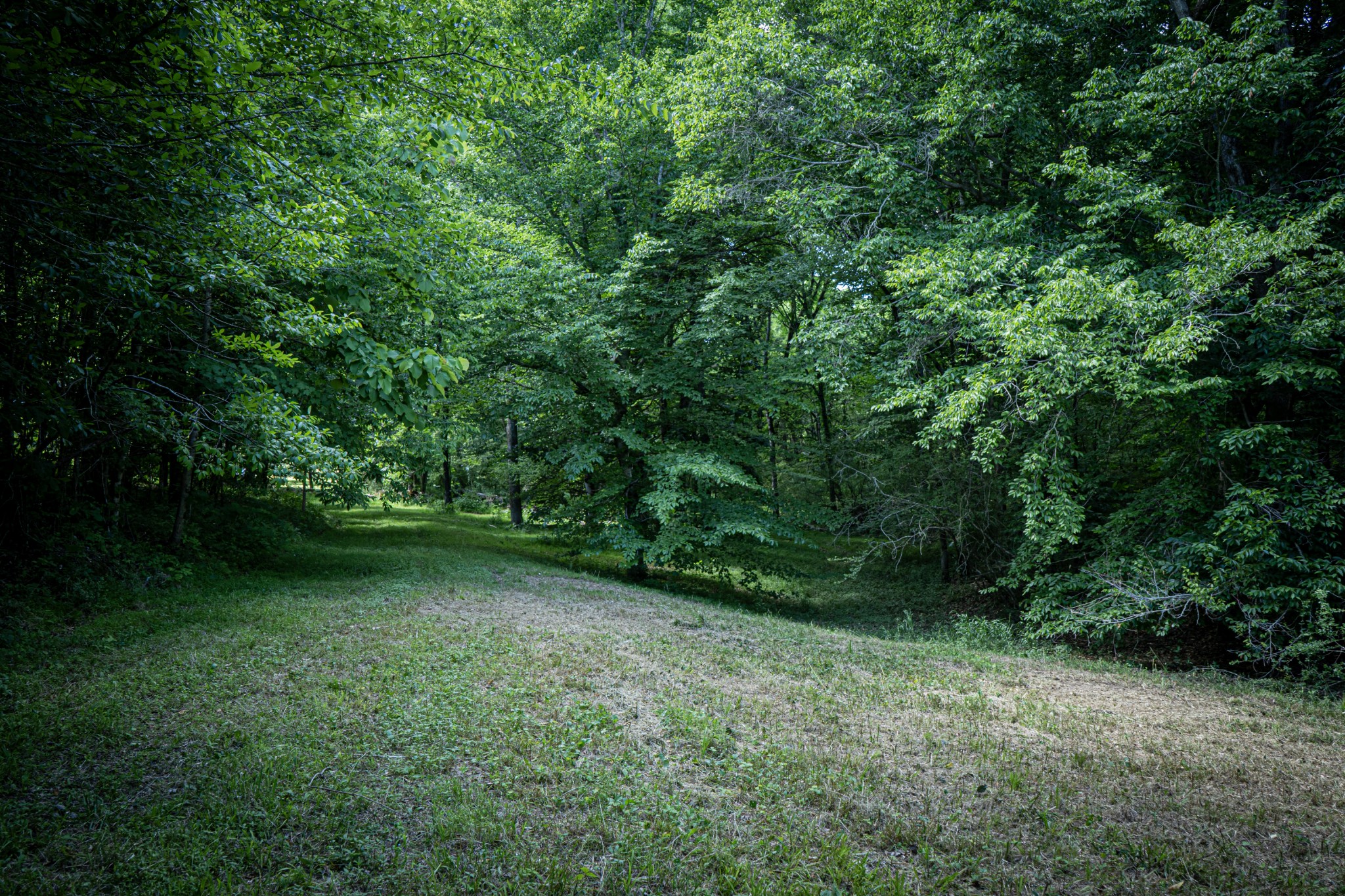 0 Pulaksi Highway Fayetteville TN 37334