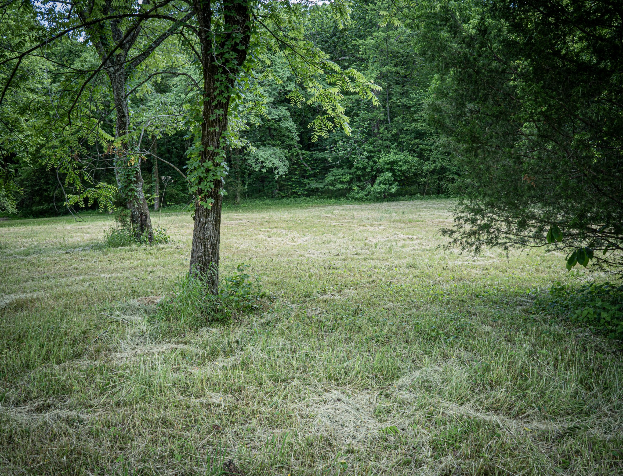 0 Pulaksi Highway Fayetteville TN 37334
