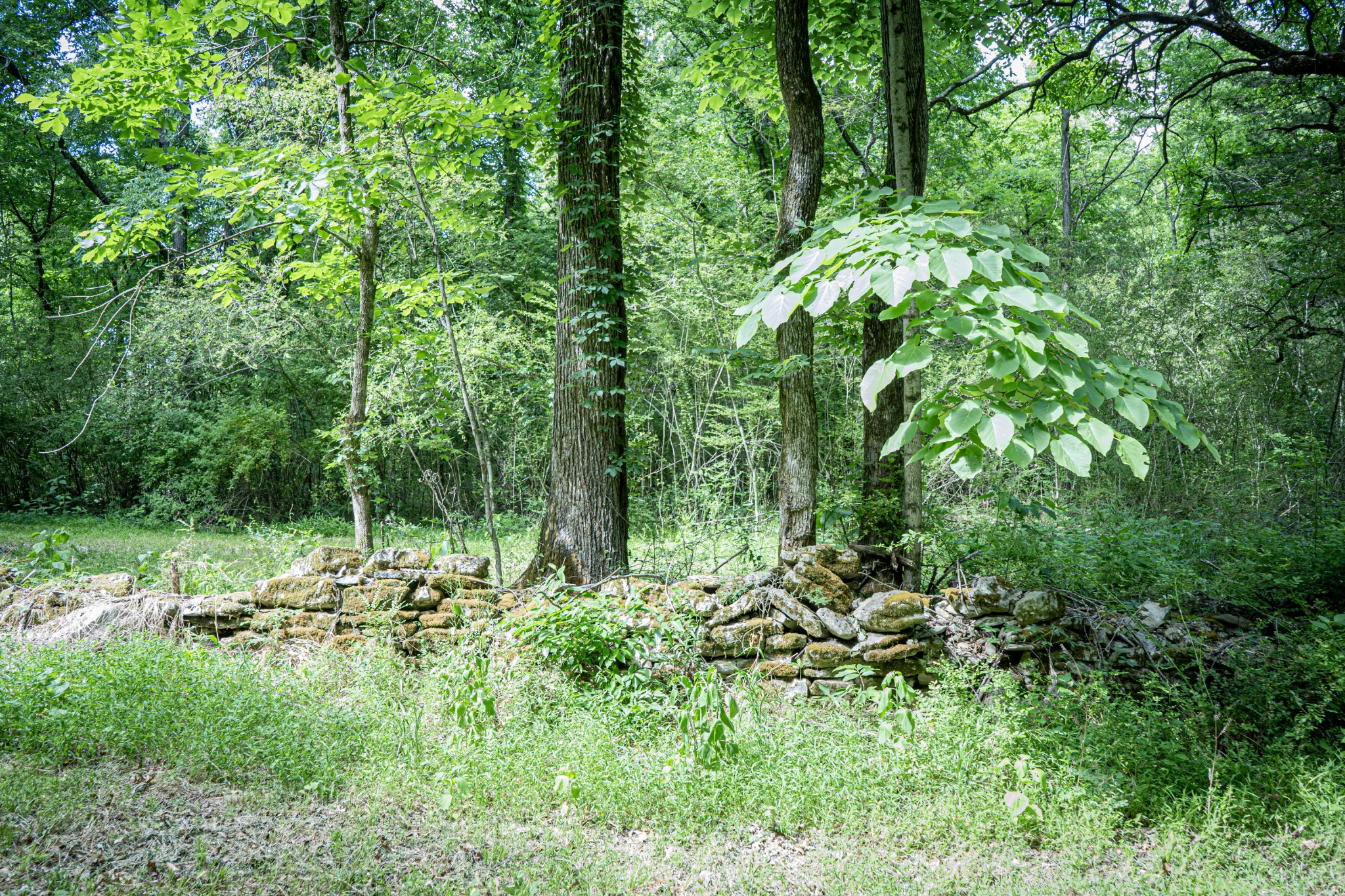 0 Pulaksi Highway Fayetteville TN 37334