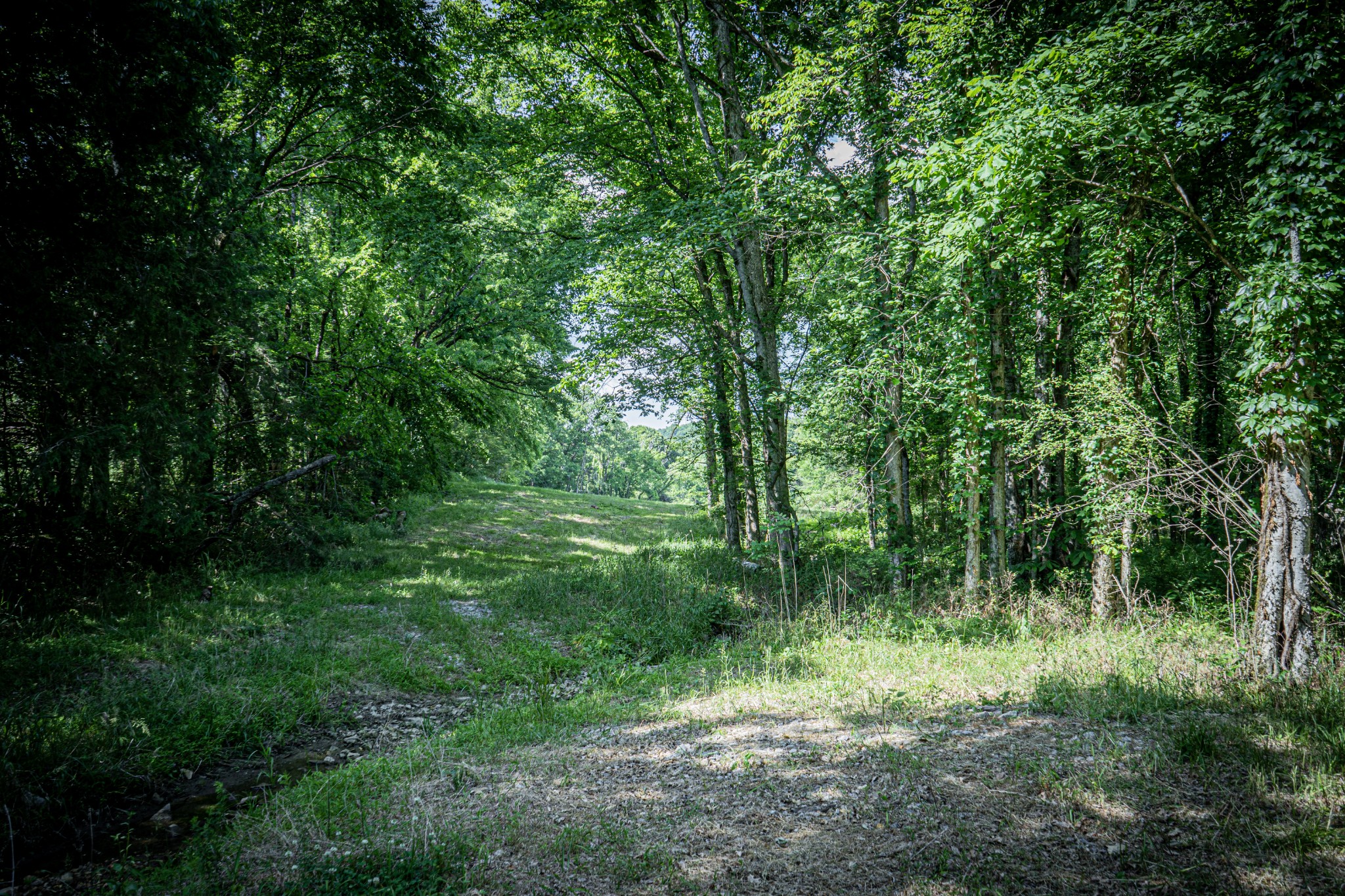 0 Pulaksi Highway Fayetteville TN 37334