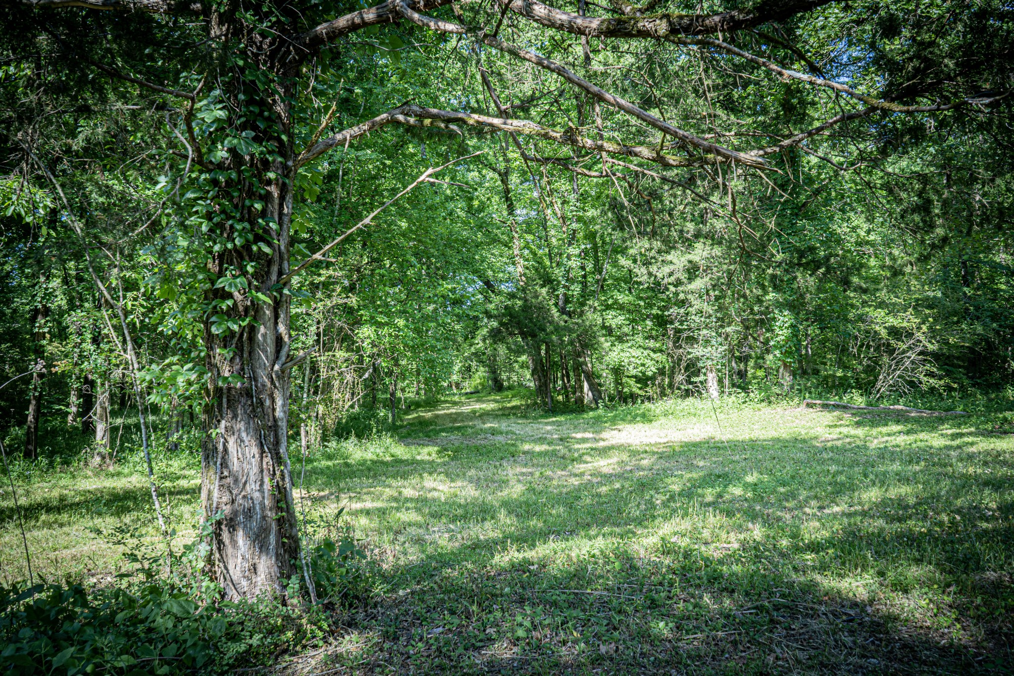 0 Pulaksi Highway Fayetteville TN 37334