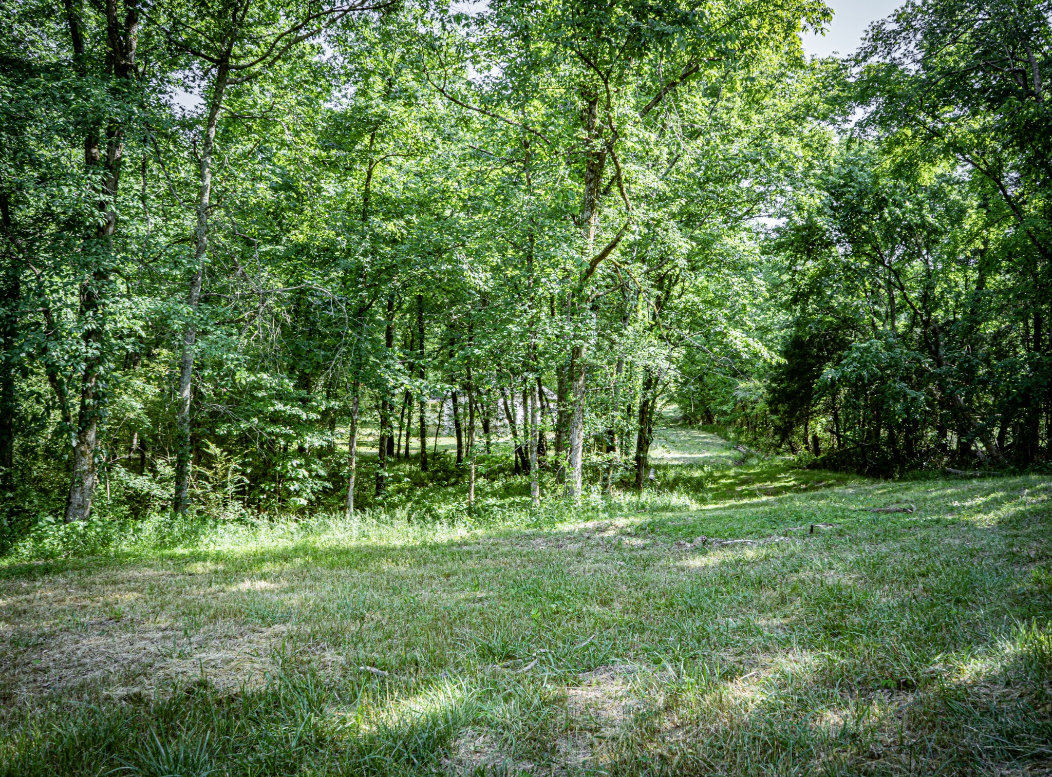 0 Pulaksi Highway Fayetteville TN 37334