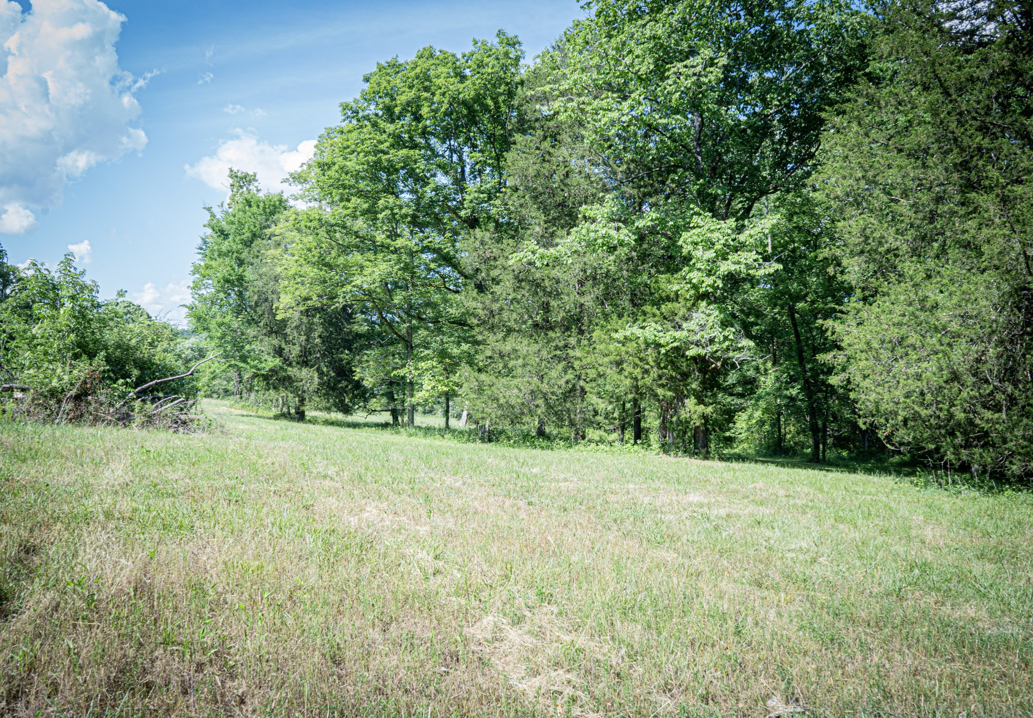 0 Pulaksi Highway Fayetteville TN 37334