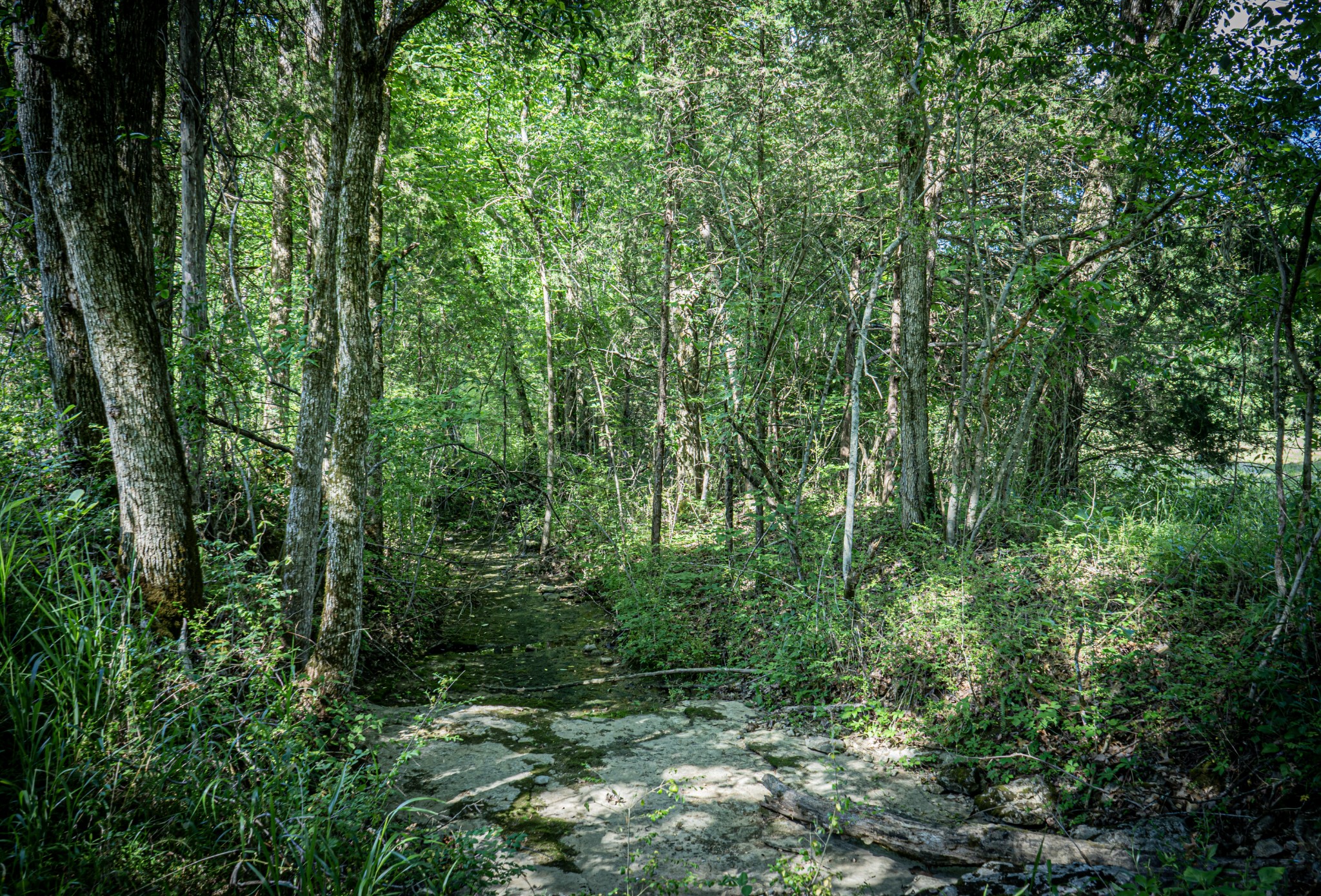 0 Pulaksi Highway Fayetteville TN 37334