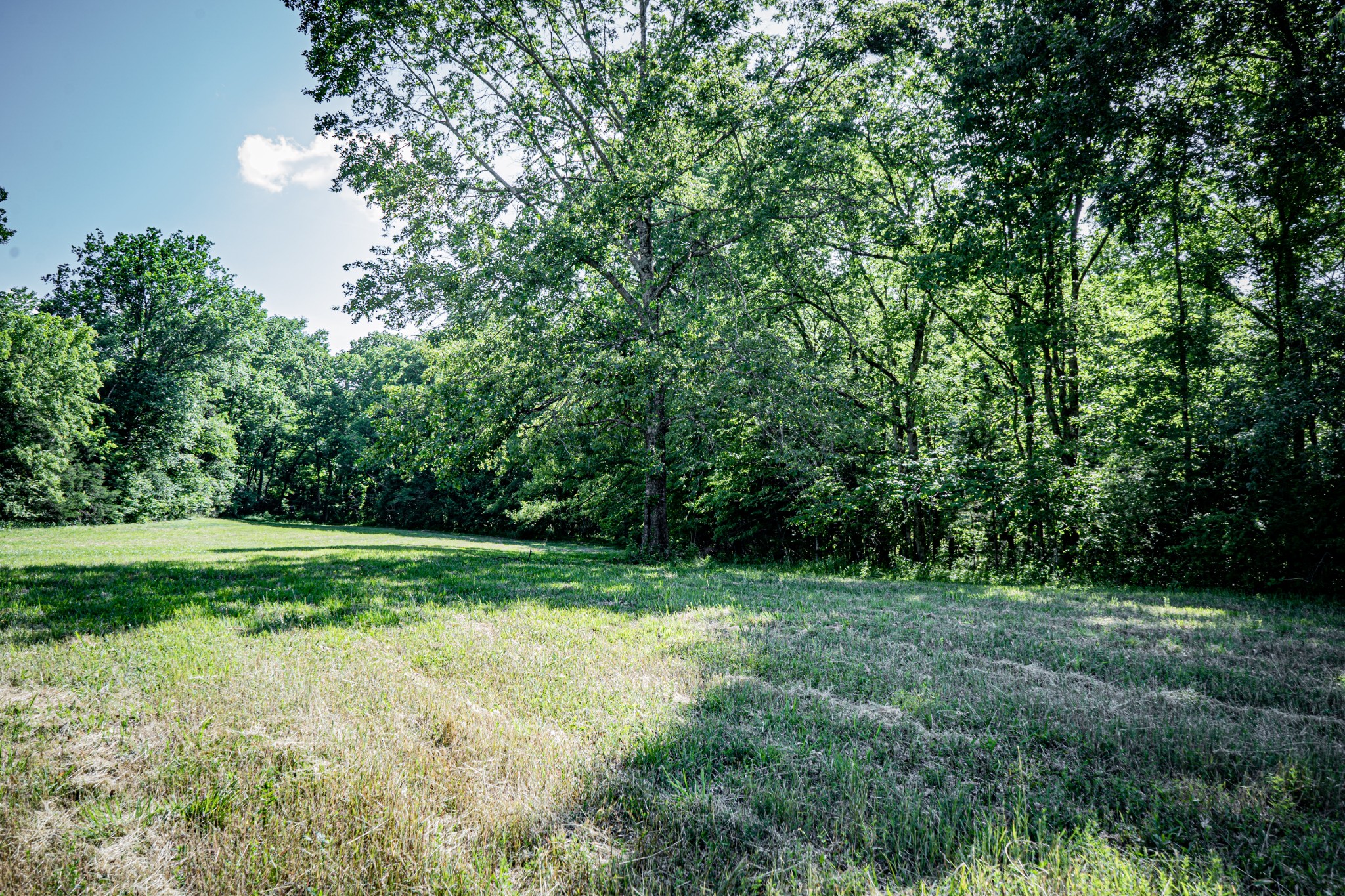 0 Pulaksi Highway Fayetteville TN 37334
