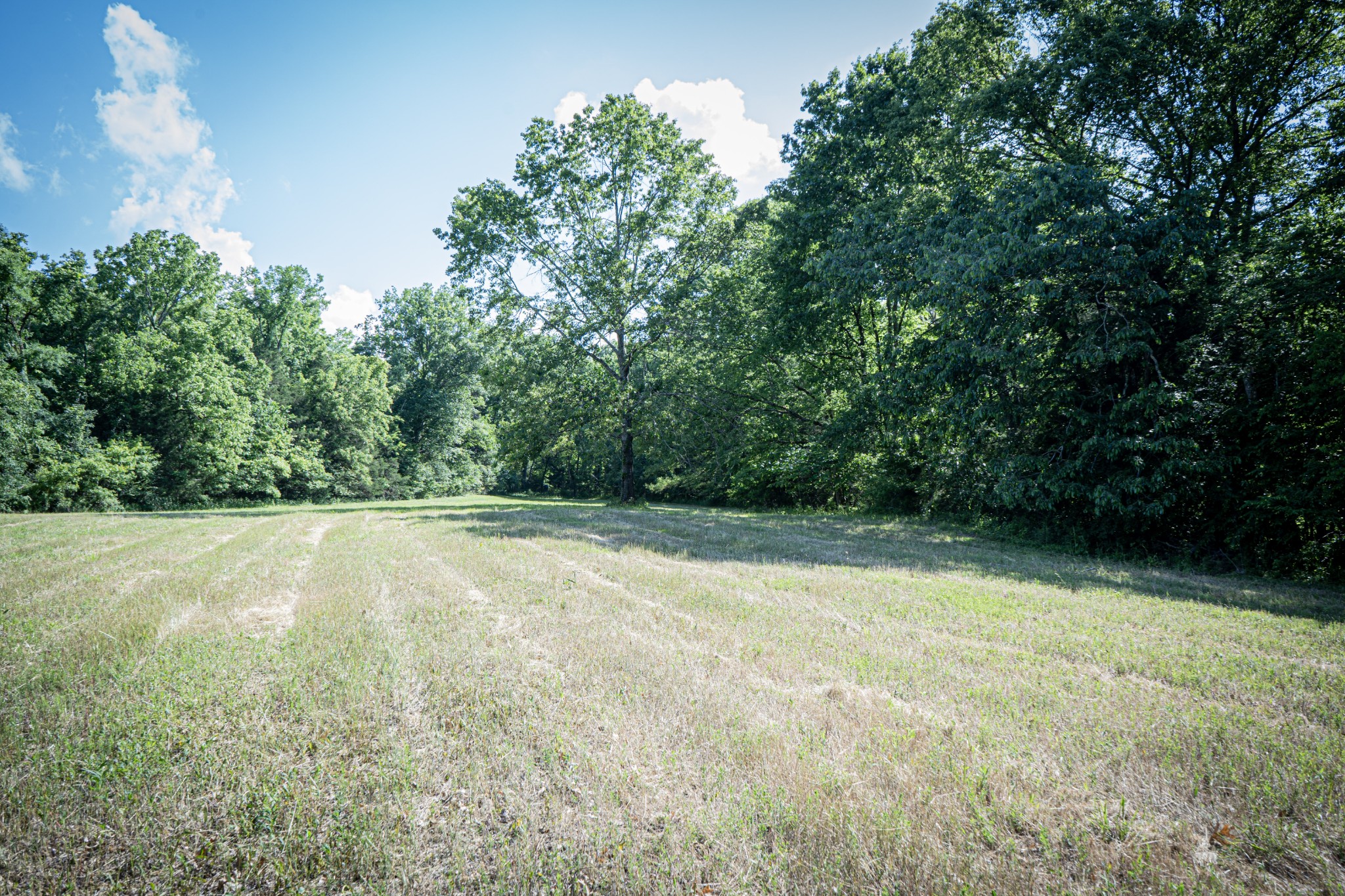 0 Pulaksi Highway Fayetteville TN 37334