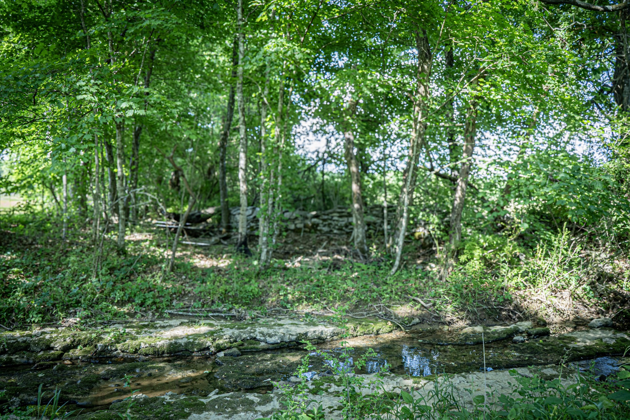 0 Pulaksi Highway Fayetteville TN 37334