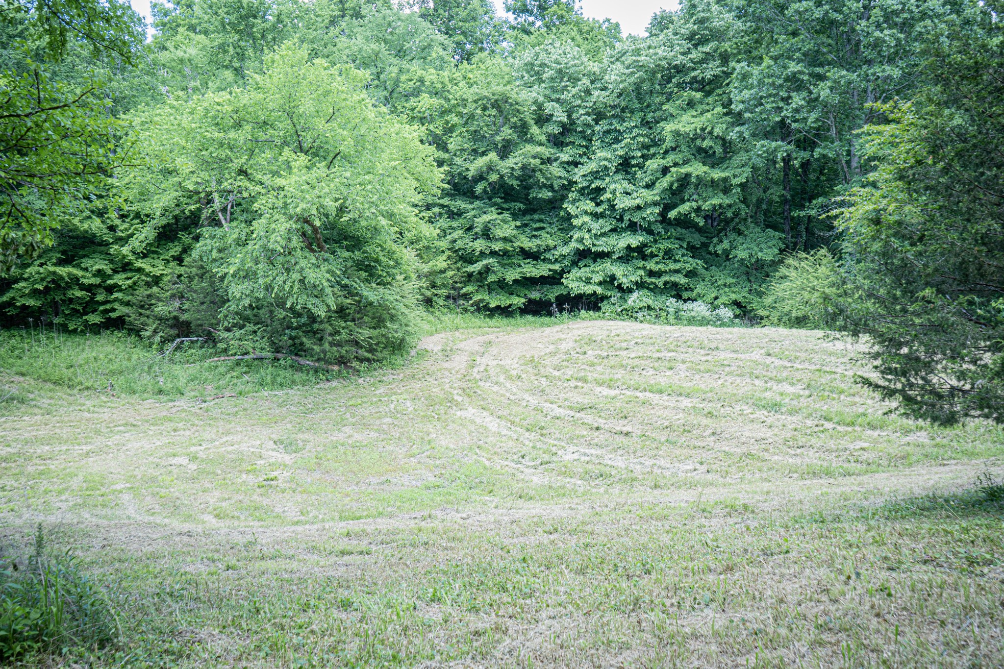 0 Pulaksi Highway Fayetteville TN 37334