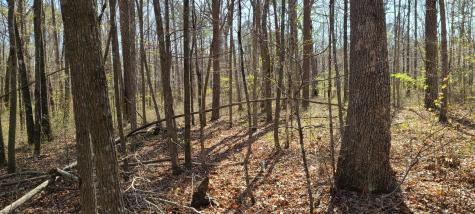 0 Gap Road Altamont TN 37301