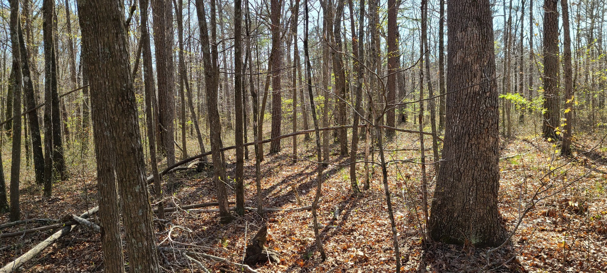 0 Gap Road Altamont TN 37301
