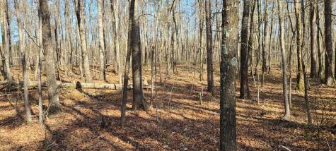 0 Gap Road Altamont TN 37301