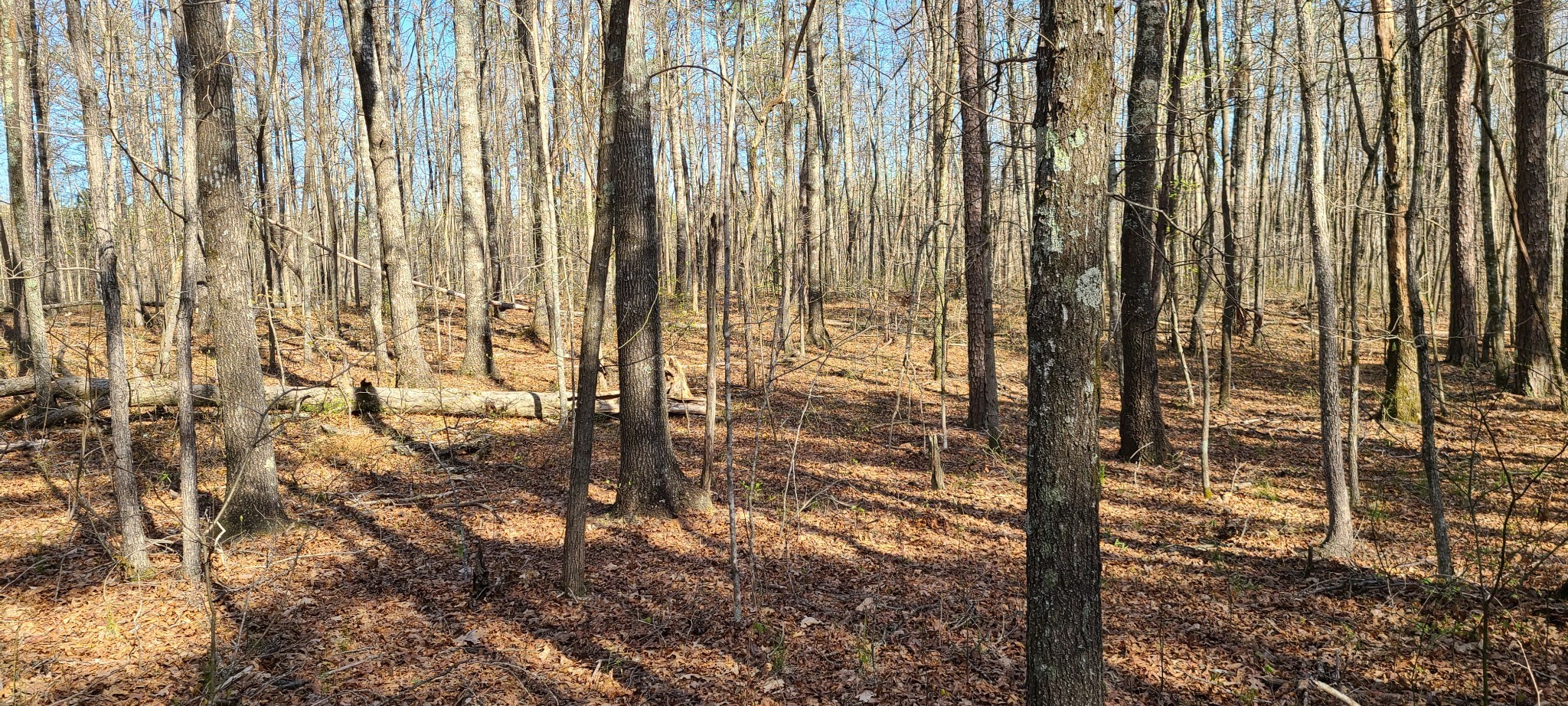 0 Gap Road Altamont TN 37301