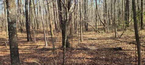 0 Gap Road Altamont TN 37301