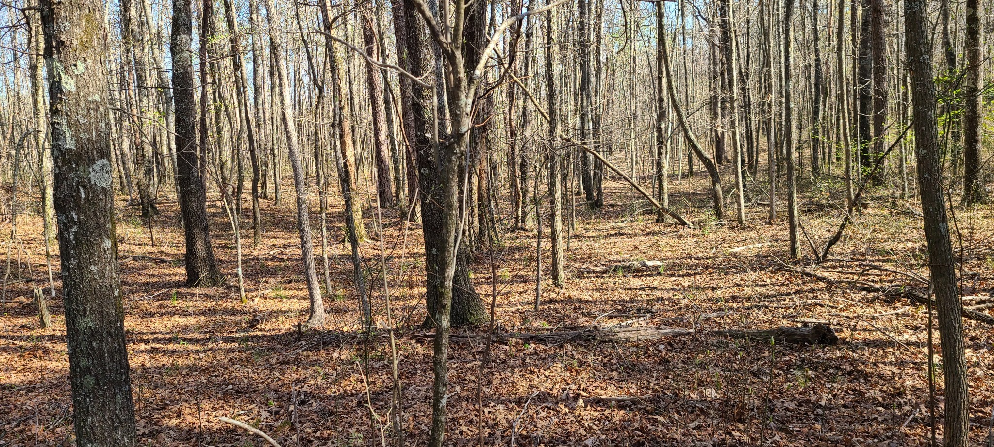 0 Gap Road Altamont TN 37301