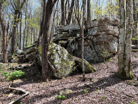 0 Gap Road Altamont TN 37301