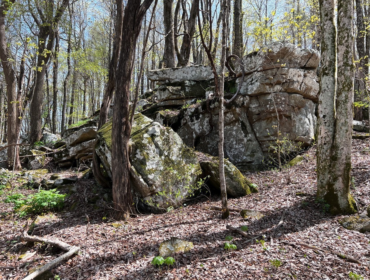 0 Gap Road Altamont TN 37301