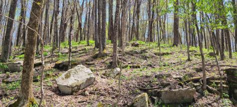 0 Gap Road Altamont TN 37301