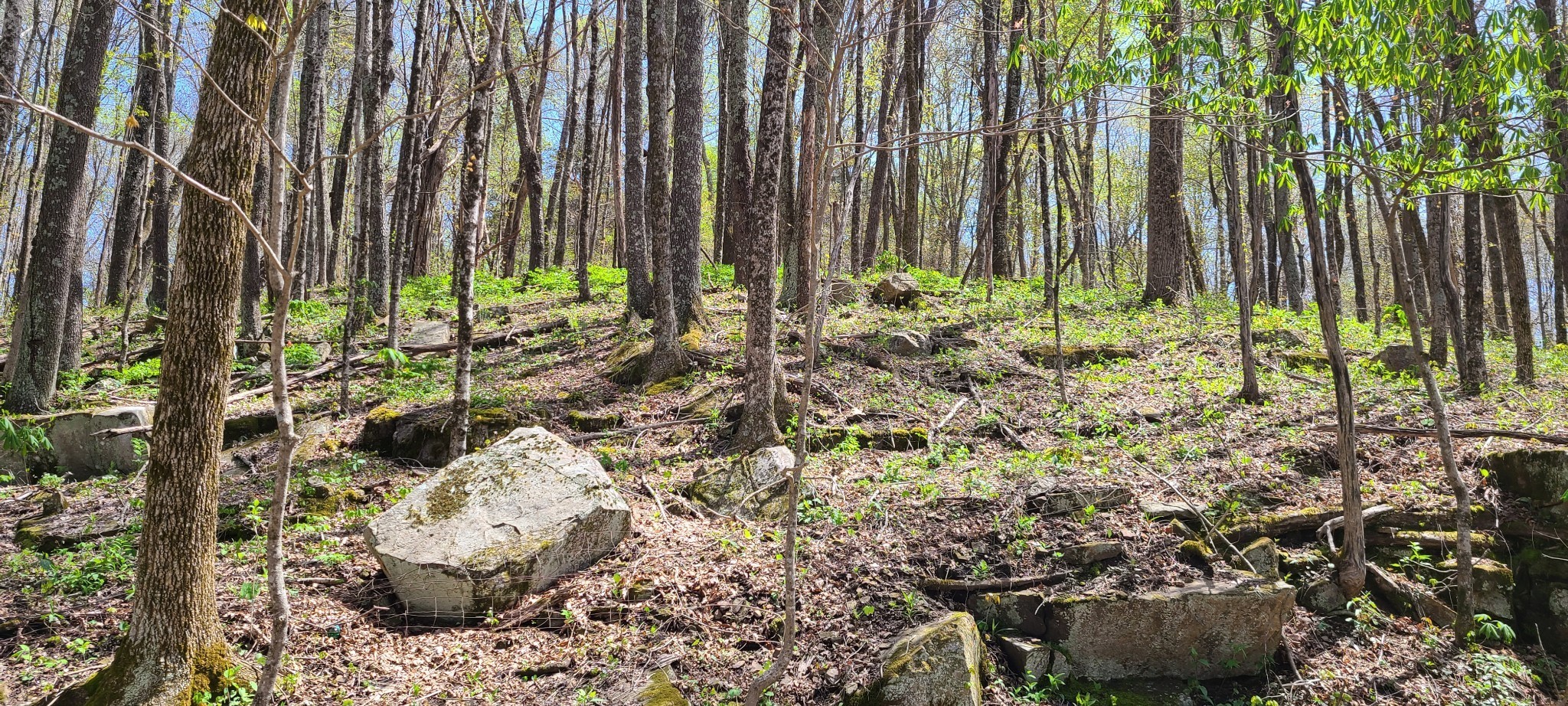 0 Gap Road Altamont TN 37301