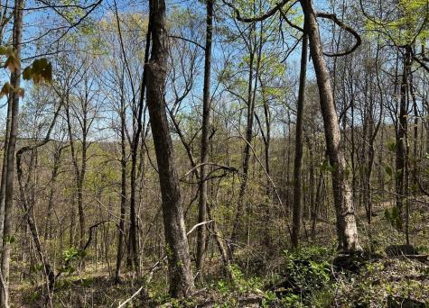 0 Gap Road Altamont TN 37301