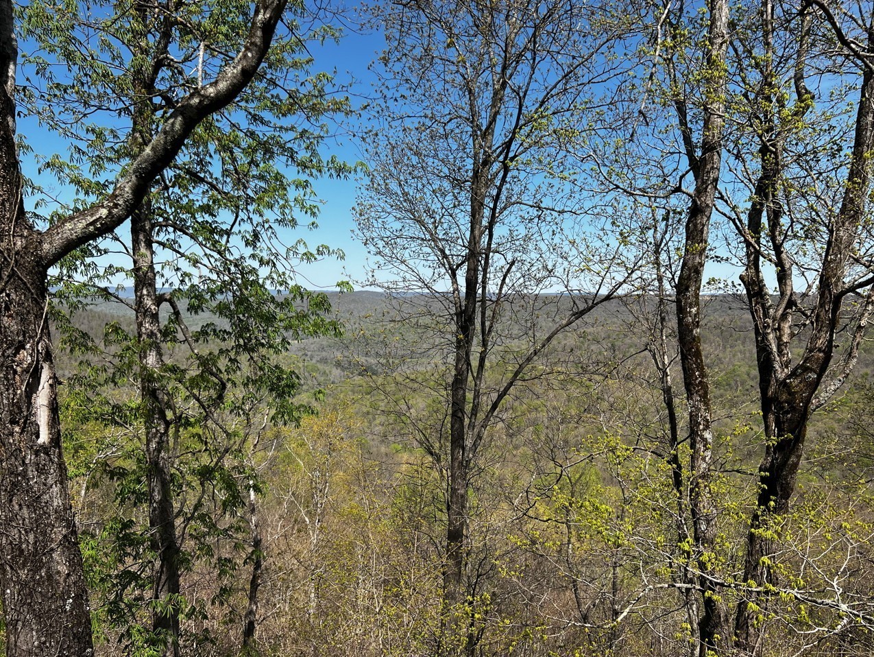 0 Gap Road Altamont TN 37301