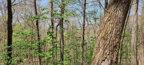 0 Gap Road Altamont TN 37301