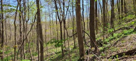 0 Gap Road Altamont TN 37301