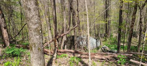 0 Gap Road Altamont TN 37301