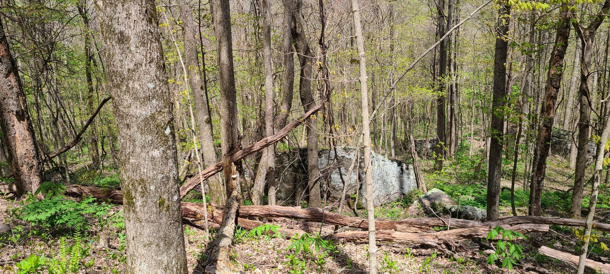 0 Gap Road Altamont TN 37301
