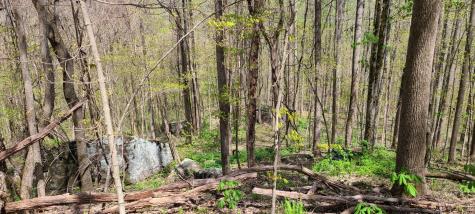 0 Gap Road Altamont TN 37301