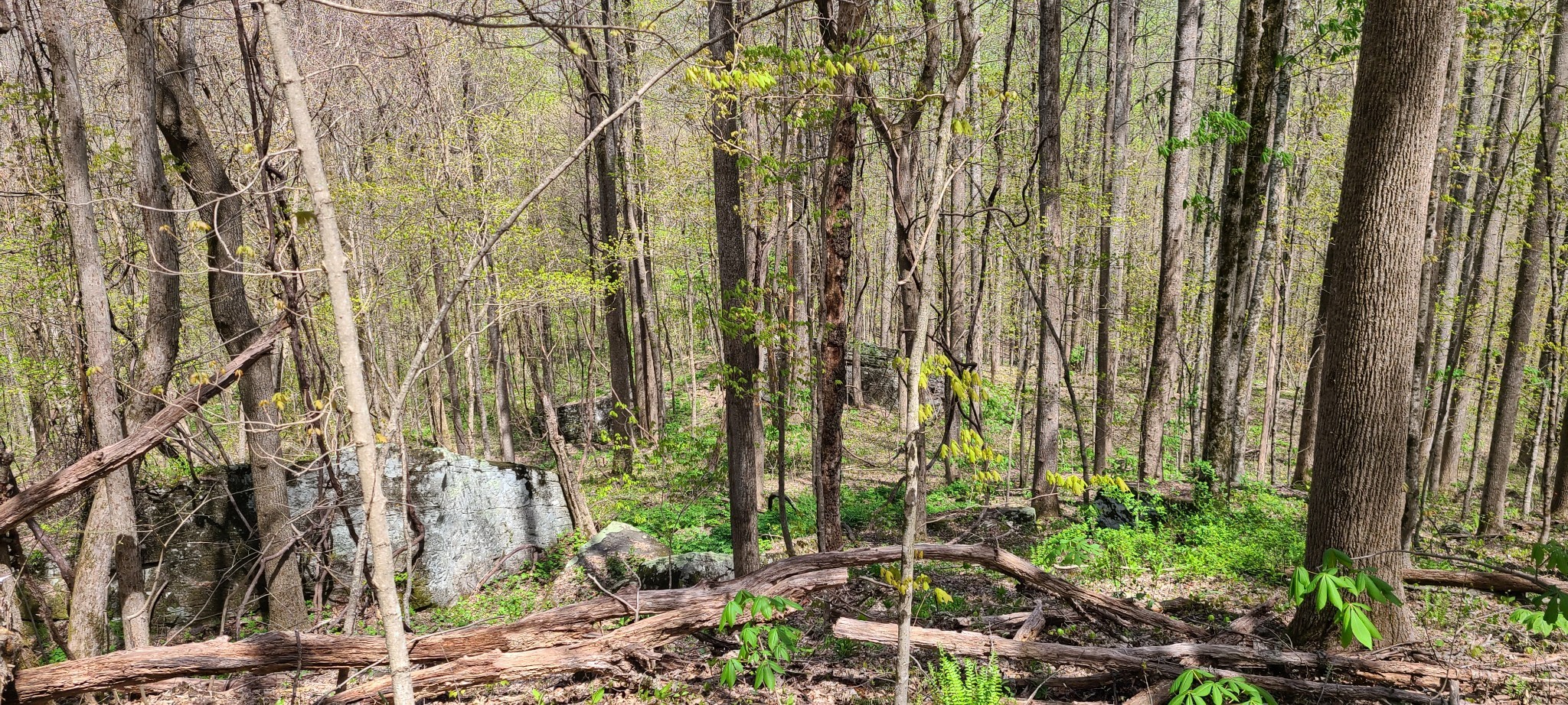 0 Gap Road Altamont TN 37301