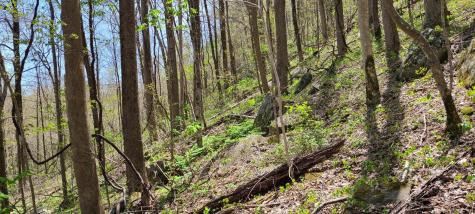 0 Gap Road Altamont TN 37301