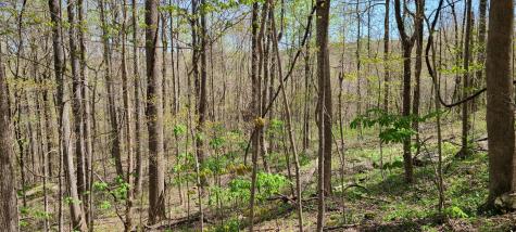 0 Gap Road Altamont TN 37301