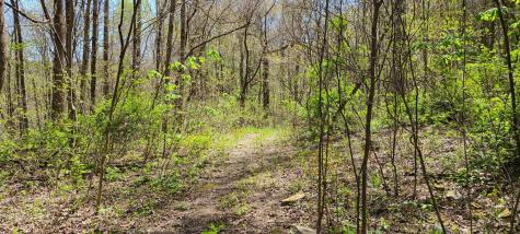 0 Gap Road Altamont TN 37301