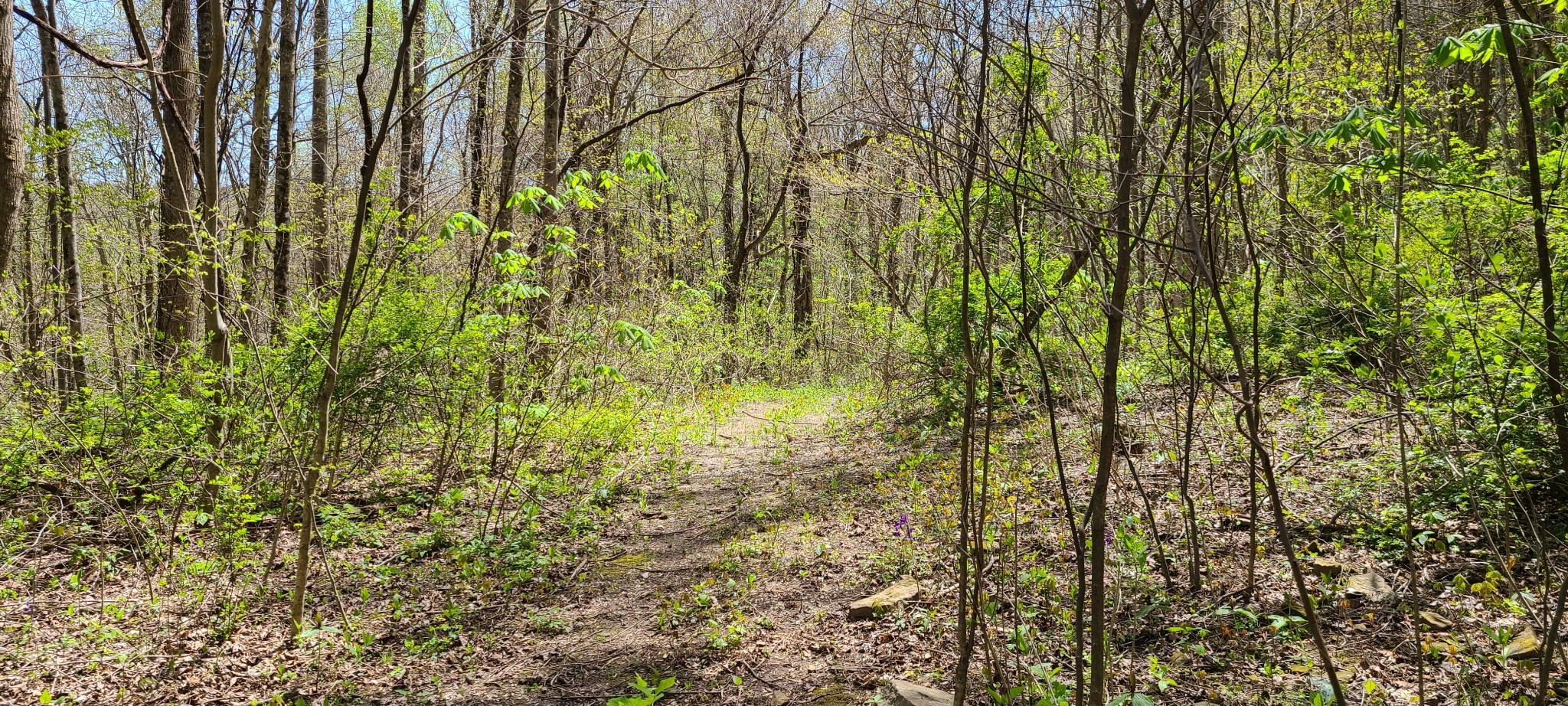 0 Gap Road Altamont TN 37301