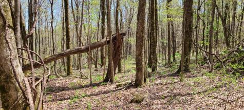 0 Gap Road Altamont TN 37301