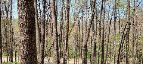 0 Gap Road Altamont TN 37301